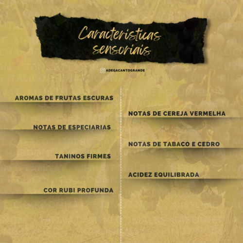 Caracteristicas Cabernet